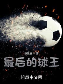 恒星陨落——超武全球