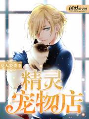 星际争霸之终极破杀