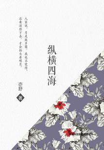 烈火南城之民国落难千金