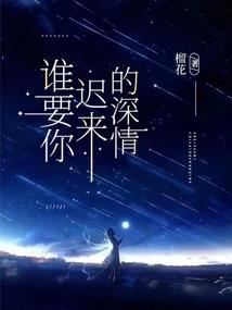 补天录之石头记