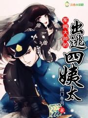 穿越之嫁给太子我心疲惫