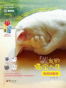 重修之傲视苍穹