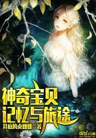 北锋南指定天下