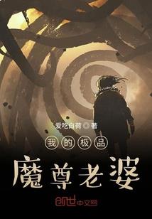 她是我的归途二