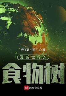 迷失的盗路