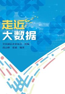 大佬救救我