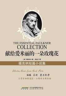飞云战苍穹