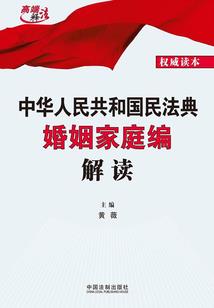 乞梦的少年