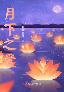 星盾游龙