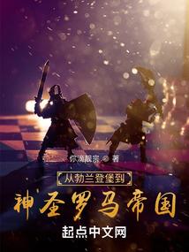 重生之星光大盗