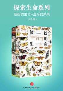 没落乾坤