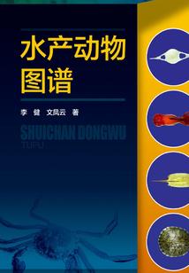 神祭天坛