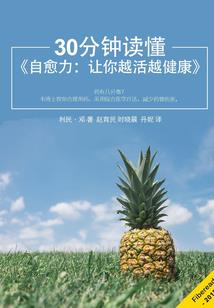无限之肉盾