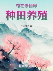 节渡使
