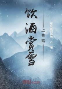 一个我两个世界