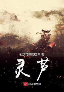 重生之我的女仆军团