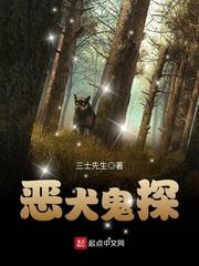神奇宝贝平凡的训练师