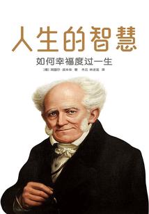 杀手正传
