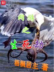 巅峰投资商