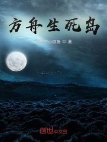 夜空中走失的星光