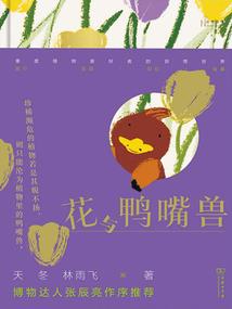 北城雨落，南城初晴