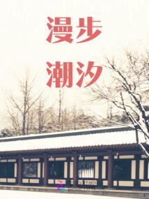 冷艳倾城皇子妃