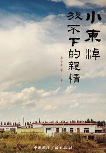 异界最强兵者