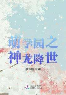 精灵世界之神奇系统