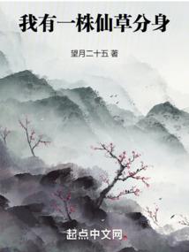 云之梦境