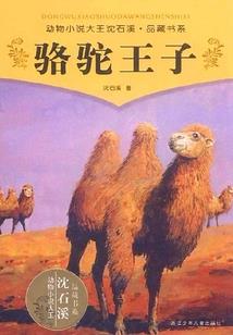 天涯沧浪