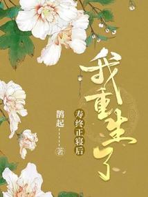 后卫之王，林书伟