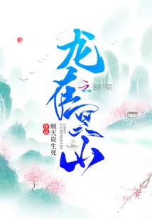 归星辰下