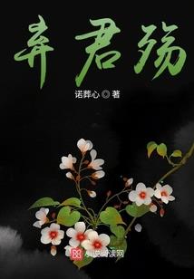 灵汐梦醉红尘