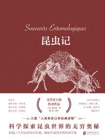 过去的你再也回不去