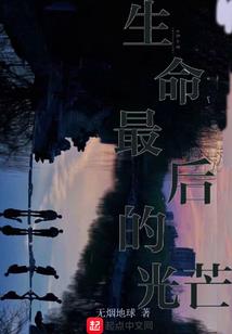 重生我为大明星