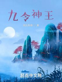 我家少爷脑子有坑