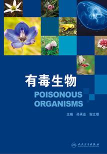 镜缘花