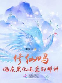 笑傲北宋