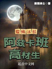 天启战役