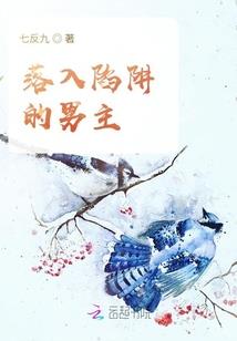 荣耀和孤独