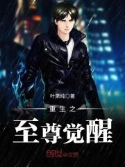 杀手之传奇