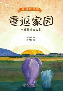 绝望的蓝花楹
