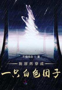封魂灵探