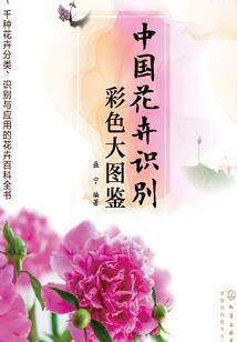 七宝山下流沙的溪