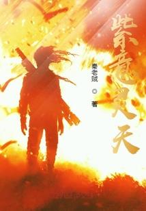 天王盛宠凤飞九天