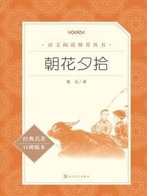 那被遗忘的你