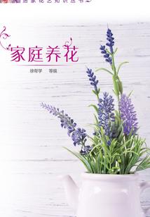 金陵语