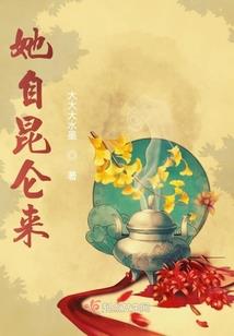 我爱上了公主
