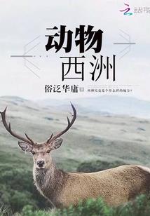 2012后的兄弟情