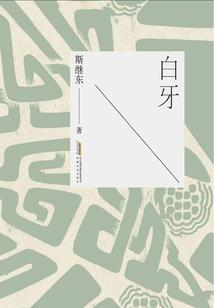 小说映照现实